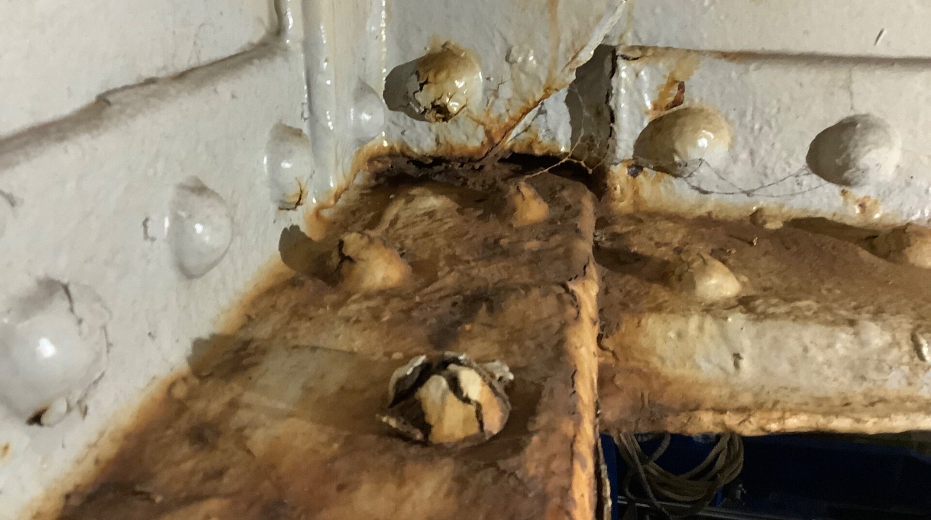 diverse klinknagels met corrosie